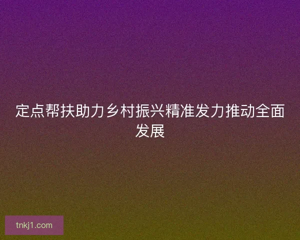 定点帮扶助力乡村振兴精准发力推动全面发展