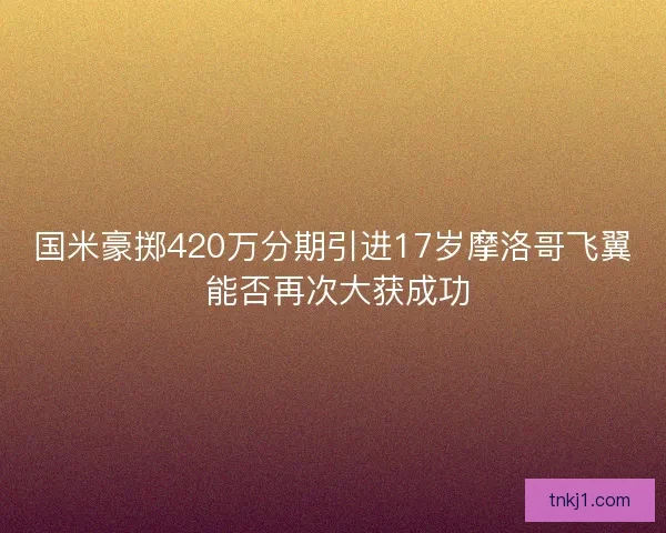 国米豪掷420万分期引进17岁摩洛哥飞翼 能否再次大获成功